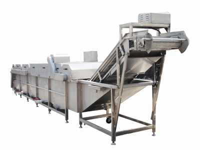 Vegetable Blanching Machine