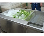 Vegetable Washing Machine